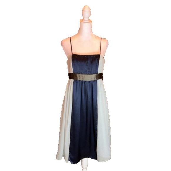 MAXANDCLEO Gorgeous 100% Silk Formal
Strapless Dress Size 8P - Picture 3 of 9